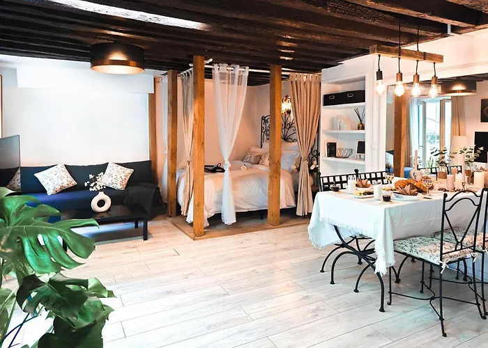 Rustic Charm&Dreamhome 40M2 In The Heart Of Paris, Near Pompidou And Notre-Dame, Subway 4,8,9 Honeymoon Favourite