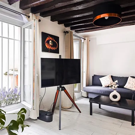 Rustic Charm&Dreamhome 40M2 In The Heart Of Paris, Near Pompidou And Notre-Dame, Subway 4,8,9 Honeymoon Favourite Exterior photo